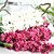 זול פרח מלאכותי-פוליאסטר סגנון מודרני זר פרחים לשולחן זר 1