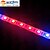 abordables Control de WiFi-ZDM® 5 m Growing Strip Lights 300 LED 5050 SMD 4 conectores Rojo / Azul Cortable / Nuevo diseño / Decorativa 12 V 1 juego / Conectable / Auto-Adhesivas