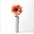 billiga Artificiell Blomma-Konstgjorda blommor 1 Gren Modern Stil Prästkragar Bordsblomma