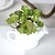 cheap Artificial Flowers &amp; Vases-1 Branch Simulation Succulents Artificial Flowers Ornaments Mini Green Artificial Succulents Plants Garden Decoration