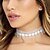 Недорогие Чокеры-Women&#039;s Choker Necklace Tattoo Choker Necklace Personalized Tattoo Style Simple Style Fashion Lace White Black Necklace Jewelry For Wedding Party Daily Casual