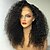 cheap Human Hair Wigs-Human Hair Glueless Full Lace Full Lace Wig style Kinky Curly Wig Natural Hairline African American Wig 100% Hand Tied Women&#039;s Medium Length Long Human Hair Lace Wig