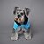 billige Hundetøj-Hund Jumpsuits Hvalpe tøj Tegneserie Vinter Hundetøj Hvalpe tøj Hund outfits Blå Rose Kostume til Girl and Boy Dog Riflet XS S M L XL