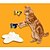 abordables Jouets pour chiens-Jouets pour Chat Jouet pour chien Chat Petit Chat Electronique Papillon Plastique Cadeau Jouet pour animaux de compagnie Jeu d&#039;animaux