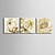 preiswerte Kunstdrucke-Botanisch Leinwand drucken Drei Paneele Fertig zum Aufhängen , Quadratisch