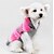 abordables Vêtements pour chiens-Chien Pull Pulls à capuche Rayure Garder au chaud Noël Hiver Vêtements pour Chien Costume Laineux XXS XS S M L