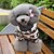 cheap Dog Clothes-Dog Coat Hoodie Jumpsuit Reindeer Keep Warm Outdoor Winter Dog Clothes Puppy Clothes Dog Outfits Blue Pink Gray Costume  Dog Corduroy S M L XL XXL