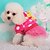 ieftine Îmbrăcăminte Câini-Pisici Câine Hanorace cu Glugă Rochii Buline Modă Îmbrăcăminte Câini Albastru Roz Trandafiriu Costume Catifea cord XS S M L XL