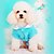 voordelige Hondenkleding-Kat Hond Jurken Flora Botanisch Modieus Hondenkleding Geel Blauw Roze Kostuum Textiel Binnenwerk XS S M L XL