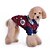 billige Hundetøj-Kat Hund Kostume T-shirt Hundetøj Sødt Cosplay Mode Britisk Grå Vin Kostume For kæledyr