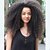 olcso Valódi hajból készült, rögzíthető parókák-Emberi haj Csipke Paróka stílus afro Kinky Curly Paróka 120% Haj denzitás Természetes hajszálvonal Afro-amerikai paróka 100% kézi csomózású Női Közepes Hosszú Emberi hajból készült parókák