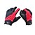 cheap Bike Gloves / Cycling Gloves-Bike Gloves / Cycling Gloves Breathable Shockproof Stretchy Anti-skidding Sports Gloves Black / Red for Cycling / Bike