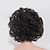 cheap Synthetic Lace Wigs-Synthetic Wig Wavy Kardashian Wavy Shaggy / Shag Wig Short Black Synthetic Hair 14 inch Women&#039;s Black