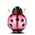 cheap Aroma Diffusers-High Quality Fashion LED Air Portable USB Cute Beetle Ultrasonic Humidifier Skin Replenishment Aromatherapy Diffuser