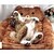 voordelige Hondenbedden &amp; Dekens-Kat Hond Molton Hoeslaken bedden Dekens Beer Zacht Cartoon Stof Katoen voor grote middelgrote kleine honden en katten