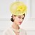 cheap Headpieces-Women&#039;s Feather / Flax Headpiece-Wedding / Special Occasion / Casual Fascinators / Hats 1 Piece Yellow Oval None