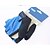 cheap Bike Gloves / Cycling Gloves-Bike Gloves / Cycling Gloves Breathable Anti-Slip Sweat-wicking Protective Half Finger Sports Gloves Lycra Mountain Bike MTB Black Red Blue for Adults&#039; Outdoor