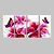 Недорогие Печать на холсте-С картинкой Цветочные мотивы / ботанический Классика 4 панели Репродукции