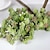 cheap Artificial Flowers &amp; Vases-1 Branch Simulation Succulents Artificial Flowers Ornaments Mini Green Artificial Succulents Plants Garden Decoration