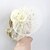 Χαμηλού Κόστους Κεφαλό Γάμου-Φτερό / Δίχτυ Γοητευτικά με 1 Γάμου / Ειδική Περίσταση Headpiece
