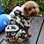 billige Hundetøj-hundefrakke hættetrøje jumpsuit rensdyr holde varmen udendørs vinter hundetøj hvalpetøj hundetøj blå pink grå kostume hundefløjl s m l xl xxl