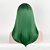 Недорогие Парик из искусственных волос без шапочки-основы-Парики из искусственных волос Прямой Прямой силуэт Парик Длинные Очень длинный Зеленый Искусственные волосы Зеленый