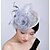 זול כובעים וקישוטי שיער-תחרה / אורגנזה / רשת מפגשים / ציפור ציפור עם 1 חתונה / אירוע מיוחד / בָּחוּץ כיסוי ראש