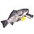 ieftine Bagaje &amp; Genți-pește de design creativ creion caz sac de școală consumabile de birou drăguț ziua de nastere cadou amuzant