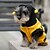 abordables Vêtements pour chiens-Chat Chien Costume Pulls à capuche Vêtements pour chiots Animal Cosplay Vêtements pour Chien Vêtements pour chiots Tenues De Chien Jaune Costume pour fille et garçon chien Coton XXS XS S M L XL