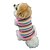 Χαμηλού Κόστους Ρούχα για σκύλους-Γάτα Σκύλος Φανέλα Veste Ριγέ Γενέθλια Γιορτή Καθημερινά Χειμώνας Ρούχα για σκύλους Ουράνιο Τόξο Στολές Βαμβάκι XS Τ M L