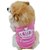 cheap Dog Clothes-Cat Dog Shirt / T-Shirt Vest Tiaras &amp; Crowns Fashion Birthday Holiday Casual / Daily Windproof Birthday Winter Dog Clothes Puppy Clothes Dog Outfits Pink Costume for Girl and Boy Dog Cotton XS S M L
