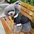 voordelige Hondenkleding-Cat Dog Costume Dress Tuxedo Bowknot Cosplay Wedding Party Winter Dog Clothes Puppy Clothes Dog Outfits Black Costume for Girl and Boy Dog Cotton S M L XL XXL