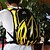 Недорогие Велосипедные сумки-мессенджеры, рюкзаки и поясные сумки-Mysenlan 10 L Рюкзаки Походные рюкзаки Велоспорт Рюкзак Многофункциональный Пригодно для носки Со светоотражающими полосками Велосумка/бардачок Велосумка/бардачок Велосумка