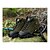 cheap Sports &amp; Outdoor Shoes-Women&#039;s Men&#039;s Unisex Boots Waterproof Cushioning Impact Wearable High-Top Fishing Hiking Cowsuede Leather Fall Winter Spring Dark Green Blue Gray Brown / Breathable / Breathable