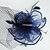 abordables Chapeaux et coiffes-Plume / Filet Fascinators / Voiles Birdcage avec 1 Mariage / Occasion spéciale / Décontracté Casque