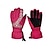 levne Lyžařské rukavice-Lyžařské rukavice Dámské Unisex Sněhové sporty Celý prst Zima Zahřívací Lyže