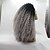 cheap Synthetic Lace Wigs-sylvia synthetic lace front wig black grey ombre hair heat resistant kinky curly synthetic wigs for black women