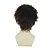 cheap Costume Wigs-Cosplay Costume Wig Synthetic Wig Straight Straight Wig Dark Brown Synthetic Hair Women&#039;s Brown
