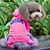 tanie Ubrania dla psów-Psy Bluza z Kapturem Kombinezon Amerykański / USA Sport Moda Zima Ubrania dla psów Ciepłe Czarny Czerwony Różowy Kostium Bawełna S M L XL XXL