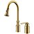 cheap Kitchen Faucets-Kitchen faucet - Single Handle Two Holes Ti-PVD Pull-out / ­Pull-down Widespread Modern / Brass