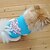 voordelige Hondenkleding-Kat Hond T-shirt Puppy kleding Letter &amp; Nummer Casual / Dagelijks Hondenkleding Puppy kleding Hondenoutfits Blauw Roze Groen Kostuum voor Girl and Boy Dog Katoen XS S M L