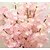 ieftine Flori Artificiale-Flori artificiale 1 ramură stil minimalist Sakura Față de masă flori