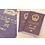ieftine Geamantane-1 piesă Geantă Pașaport &amp; ID Husă Pasaport Impermeabil Rezistent la Praf Ultra Ușor (UL) Portabil pentru Depozitare Călătorie PVC