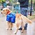 halpa Koiran tarvikkeet matkalle-Koira Dog Pack Kannettava Yhtenäinen Nylon Naamiointiväri Musta Punainen