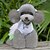abordables Vêtements pour chiens-Chat Chien Robe Fleur Mode Vêtements pour Chien Rose Vert Costume Tissu XS S M L XL