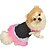 preiswerte Hundekleidung-Katze Hund Kleider Punkt Lässig / Alltäglich Modisch Hundekleidung Welpenkleidung Hunde-Outfits Weiß Schwarz Rose Kostüm für Mädchen und Jungen Hund Baumwolle XS S M L