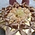 billige Kakebokser-Pyramide Perle-papir Gaveholder med Bånd Blomst Favoritt Esker
