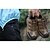 Χαμηλού Κόστους Αθλητικά &amp; υπαίθρια παπούτσια-Γυναικεία Ανδρικά Γιούνισεξ Μπότες Αδιάβροχη Προστατευτική Επένδυση Σύγκρουση Φοριέται Στυλ μποτάκι Ψάρεμα Πεζοπορία Δέρμα σουέτ αγελάδας Φθινόπωρο Χειμώνας Άνοιξη Πράσινο Χακί Γκρίζο Καφέ / Αναπνέει