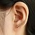 cheap Earrings-Women&#039;s Stud Earrings Ear Cuff Ear Climbers Leaf Wings Ladies Elegant Fashion Earrings Jewelry Golden / Silver For Casual Daily
