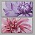 cheap Oil Paintings-Oil Painting Hand Painted - Floral / Botanical Realism Modern Stretched Canvas